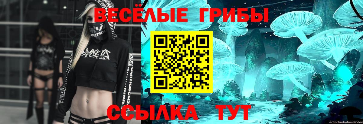 Псилоцибиновые грибы MAGIC MUSHROOMS Кизляр