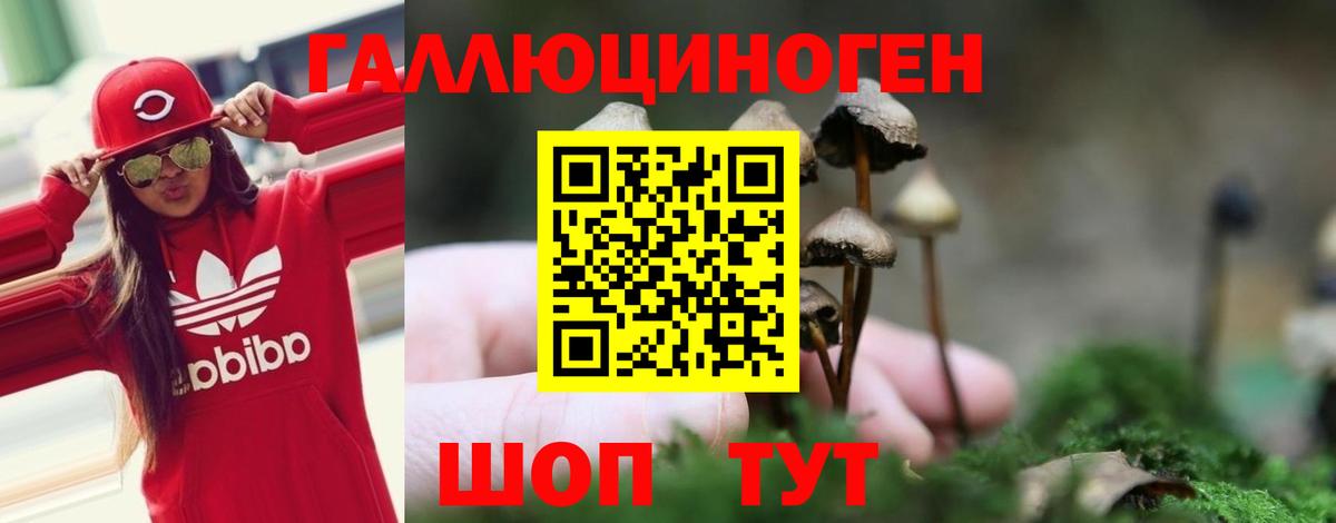 Кизляр  продажа наркотиков  Псилоцибиновые грибы Psilocybine cubensis  Вход с VPN  Псилоцибиновые грибы ЛСД 